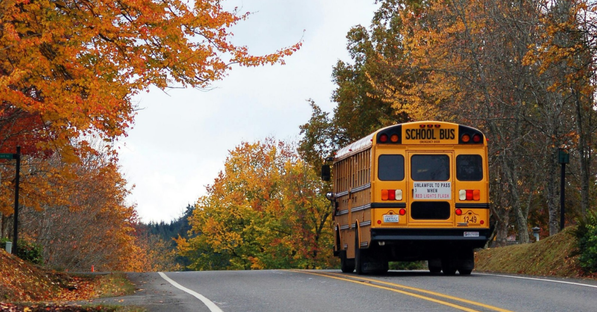A yellow school bus driving down a tree-lined road in autumn